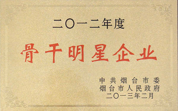 荣誉证书
